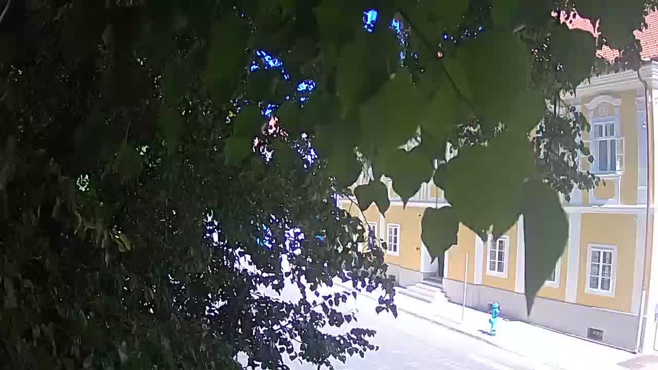 Webcam en direct du parc Petrinja – après le tremblement de terre