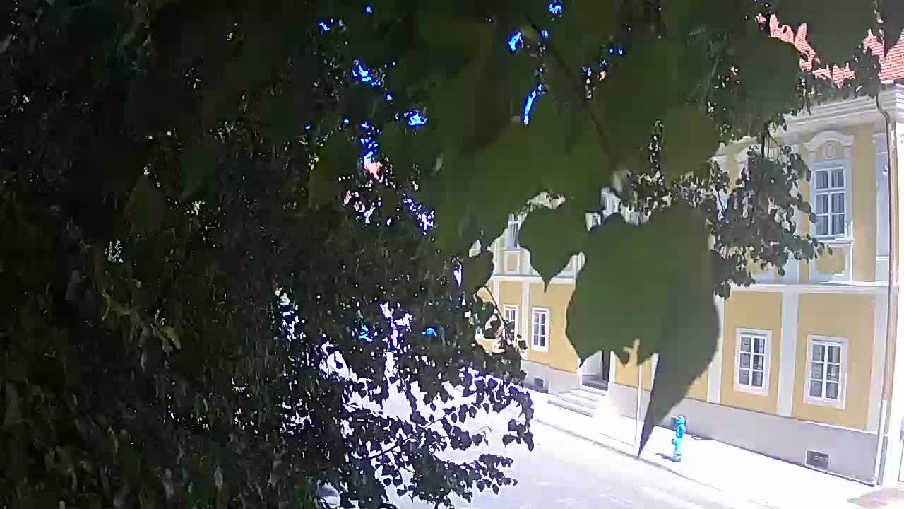 Live webcam Petrinja central park – after the earthquake