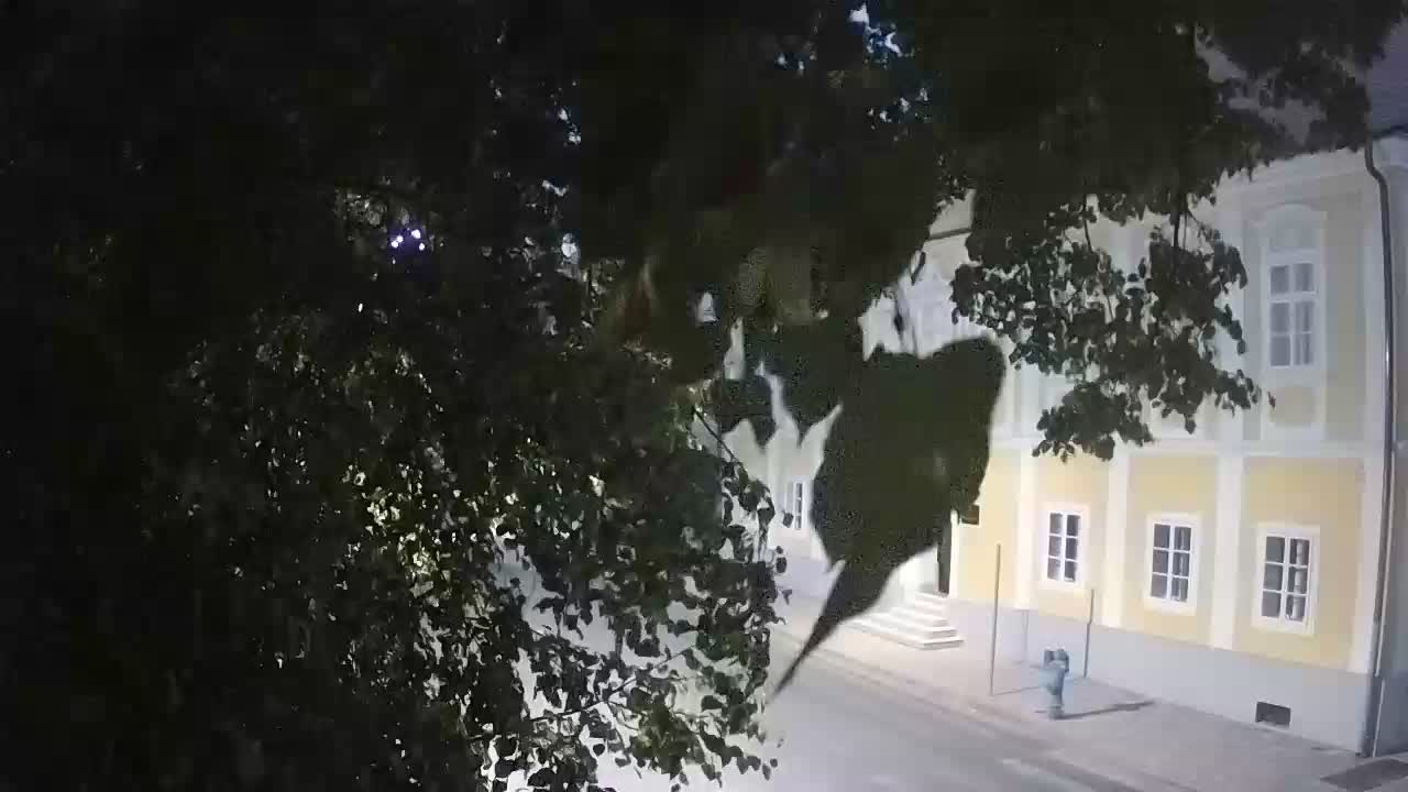 Live Webcam Petrinja Park – nach dem Erdbeben
