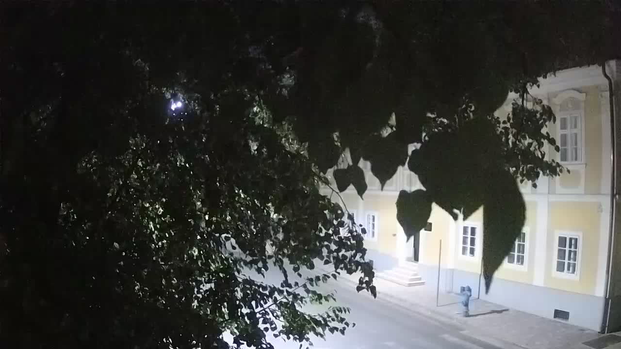 Webcam en direct du parc Petrinja – après le tremblement de terre
