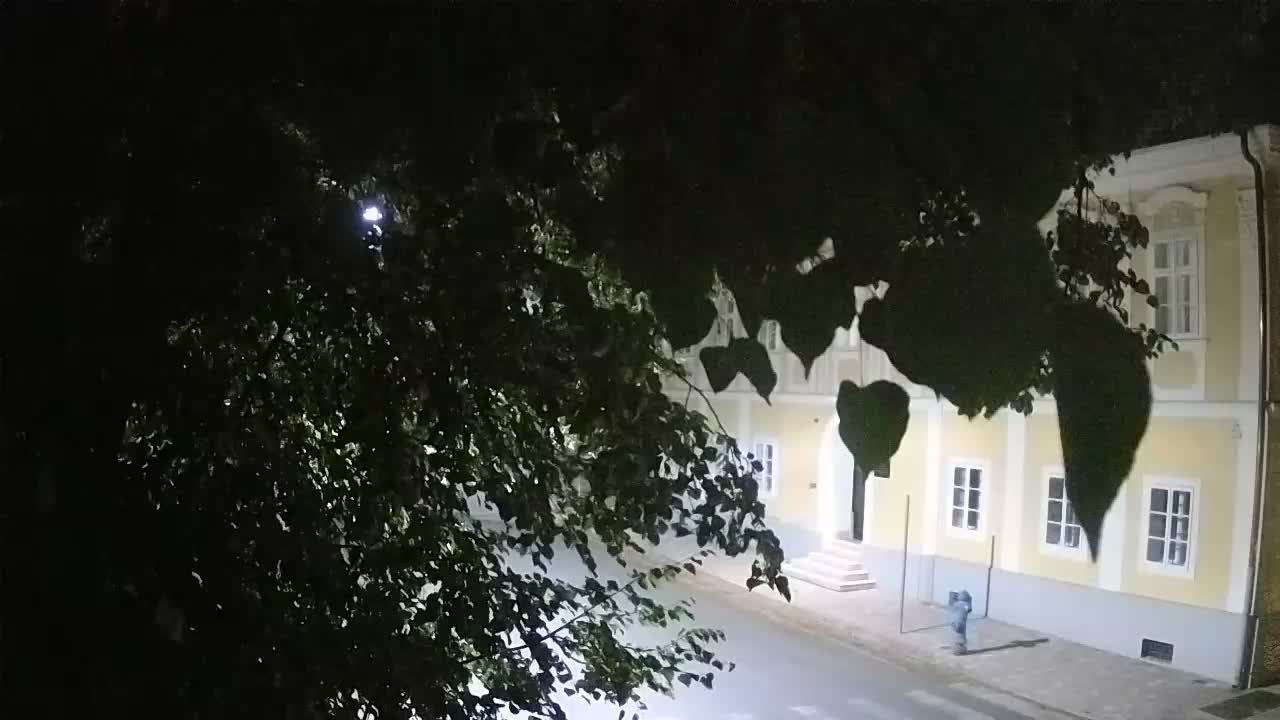 Live webcam Petrinja central park – after the earthquake