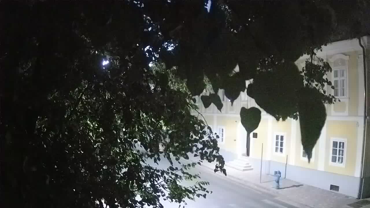 Live webcam parco Petrinja – dopo il terremoto