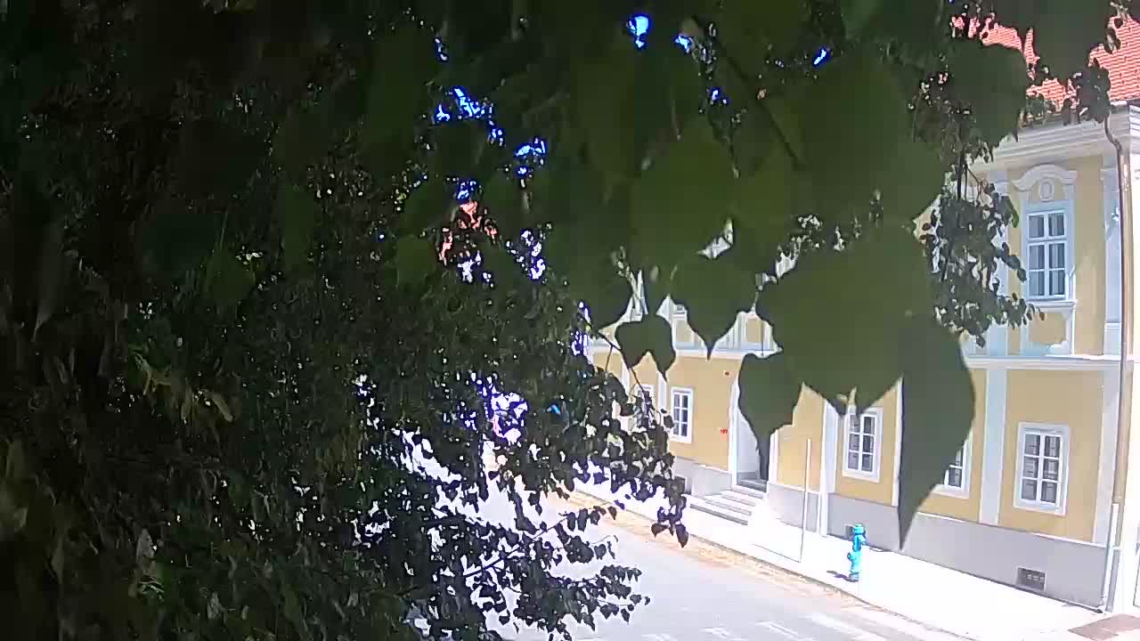 Webcam en vivo parque Petrinja – después del terremoto