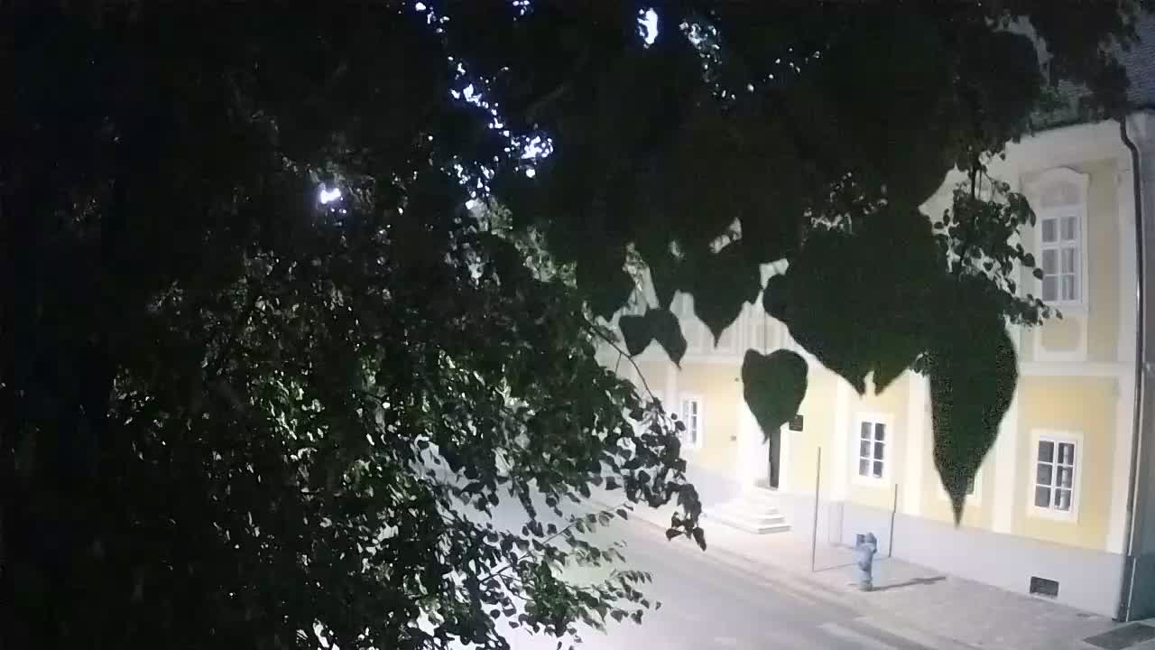 Live webcam Petrinja central park – after the earthquake
