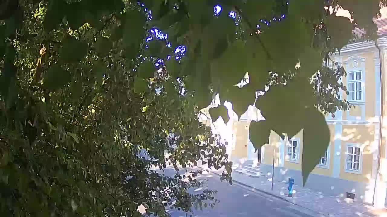 Spletna kamera v živo Petrinja centralni park – po potresu
