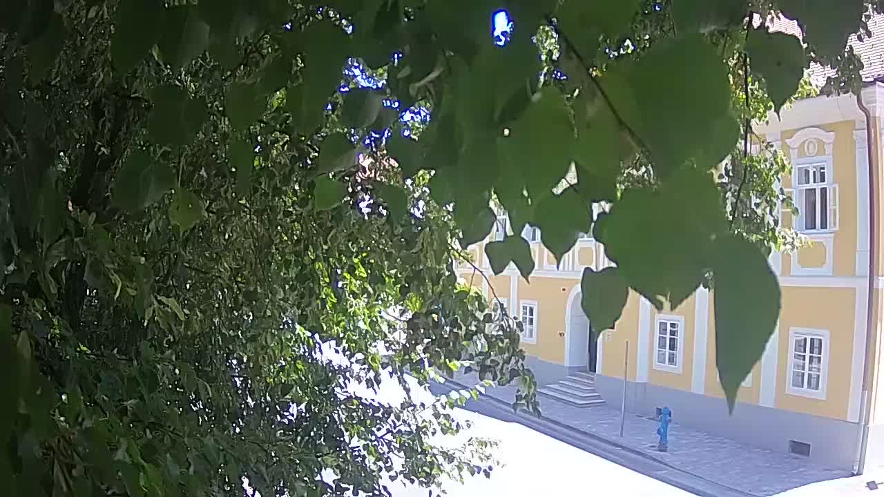 Webcam en vivo parque Petrinja – después del terremoto