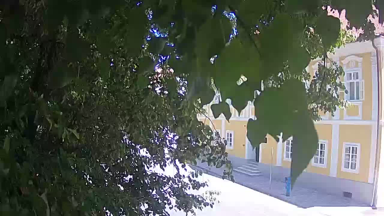 Webcam en vivo parque Petrinja – después del terremoto