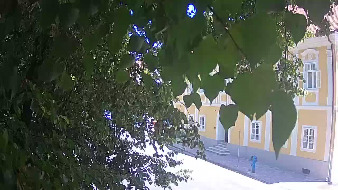 Webcam en direct du parc Petrinja – après le tremblement de terre