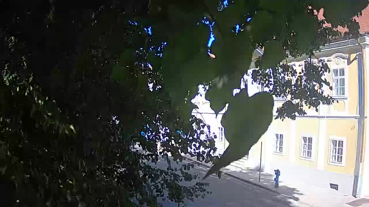 Webcam en vivo parque Petrinja – después del terremoto
