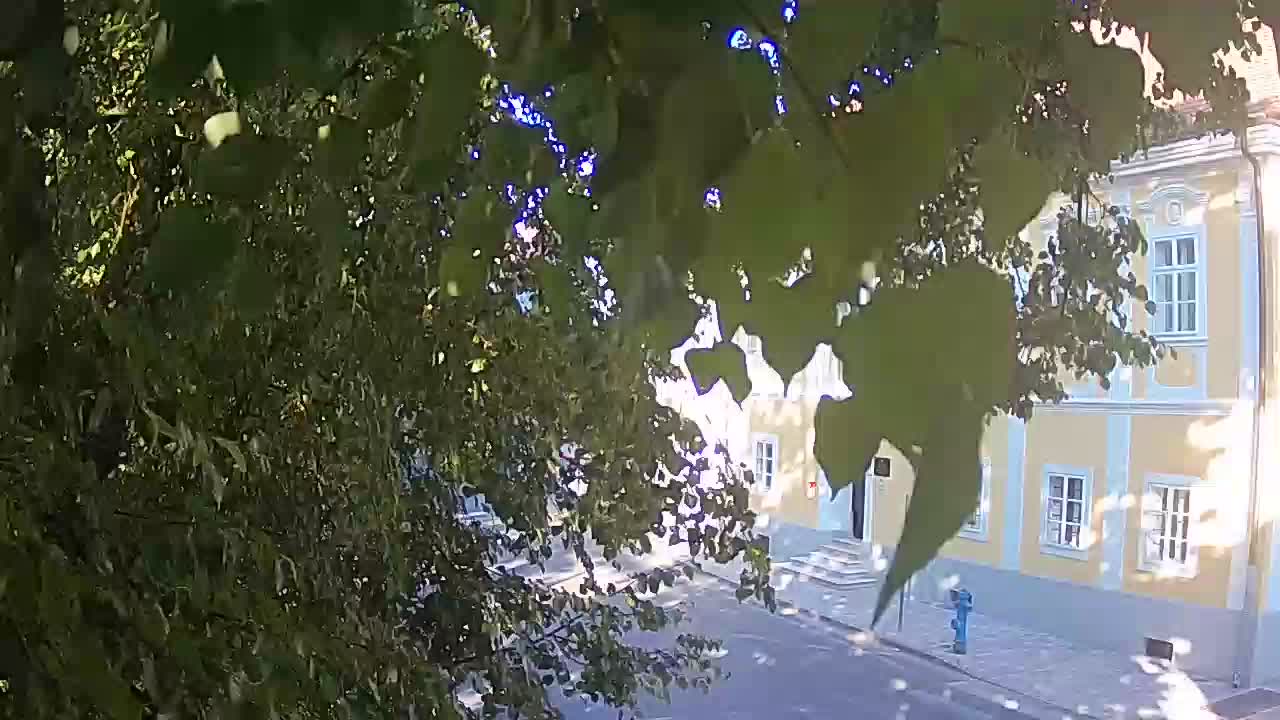 Webcam en vivo parque Petrinja – después del terremoto
