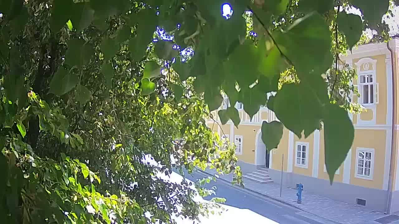 Spletna kamera v živo Petrinja centralni park – po potresu