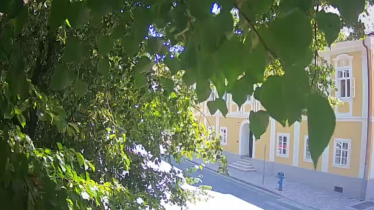 Spletna kamera v živo Petrinja centralni park – po potresu