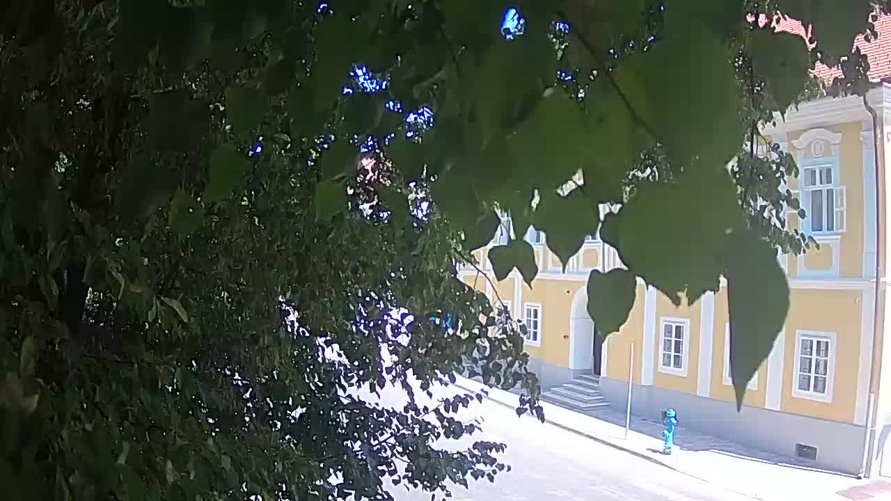 Webcam en direct du parc Petrinja – après le tremblement de terre