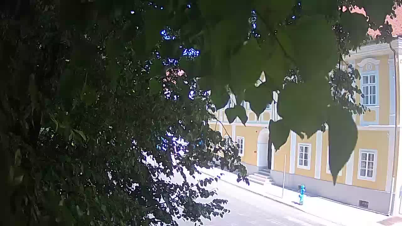 Webcam en vivo parque Petrinja – después del terremoto