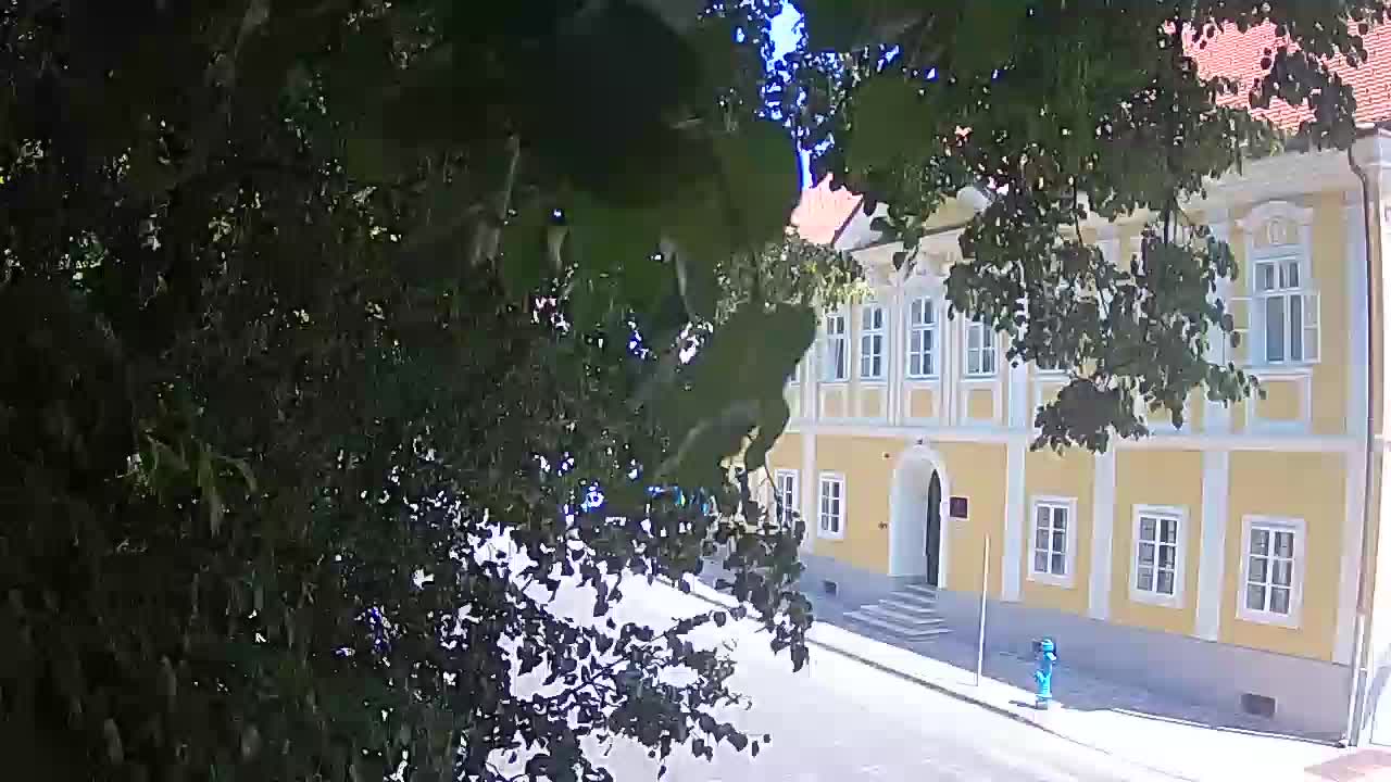 Live Webcam Petrinja Park – nach dem Erdbeben