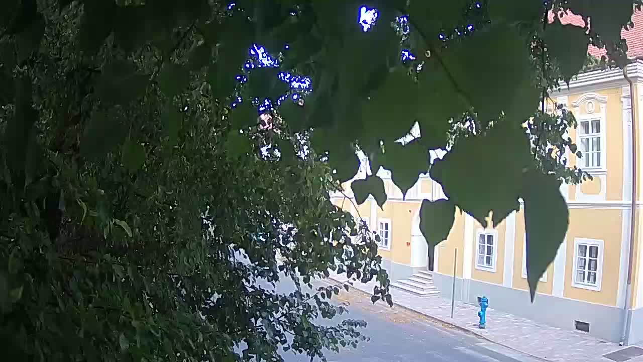 Spletna kamera v živo Petrinja centralni park – po potresu