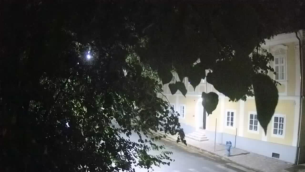 Live webcam parco Petrinja – dopo il terremoto