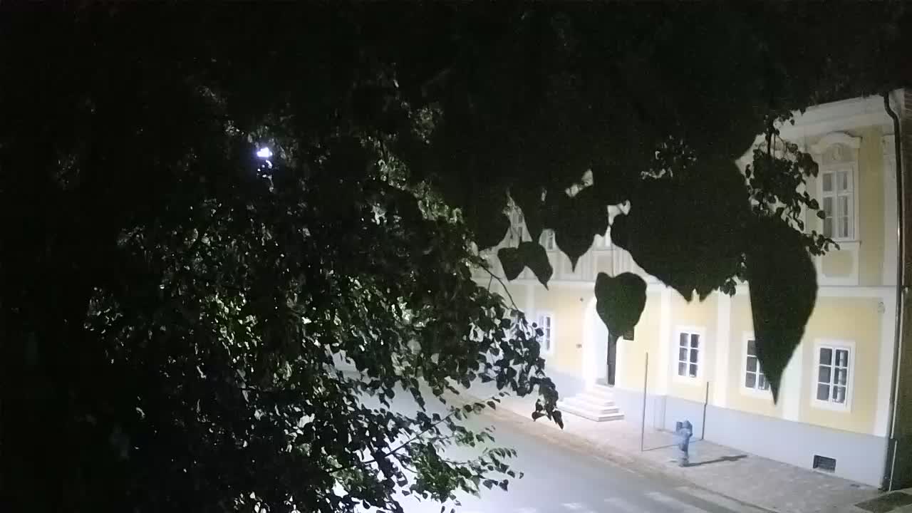 Live webcam Petrinja central park – after the earthquake