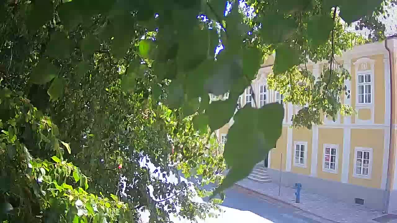 Live webcam Petrinja central park – after the earthquake