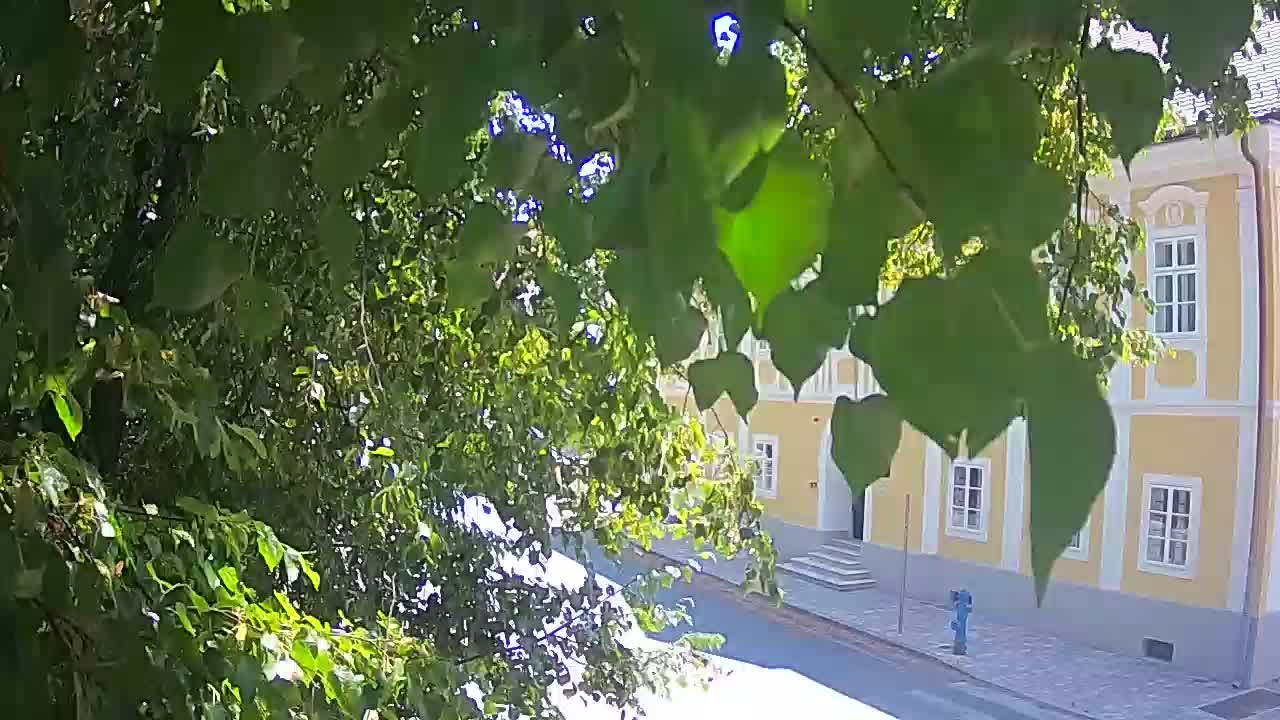 Live webcam parco Petrinja – dopo il terremoto