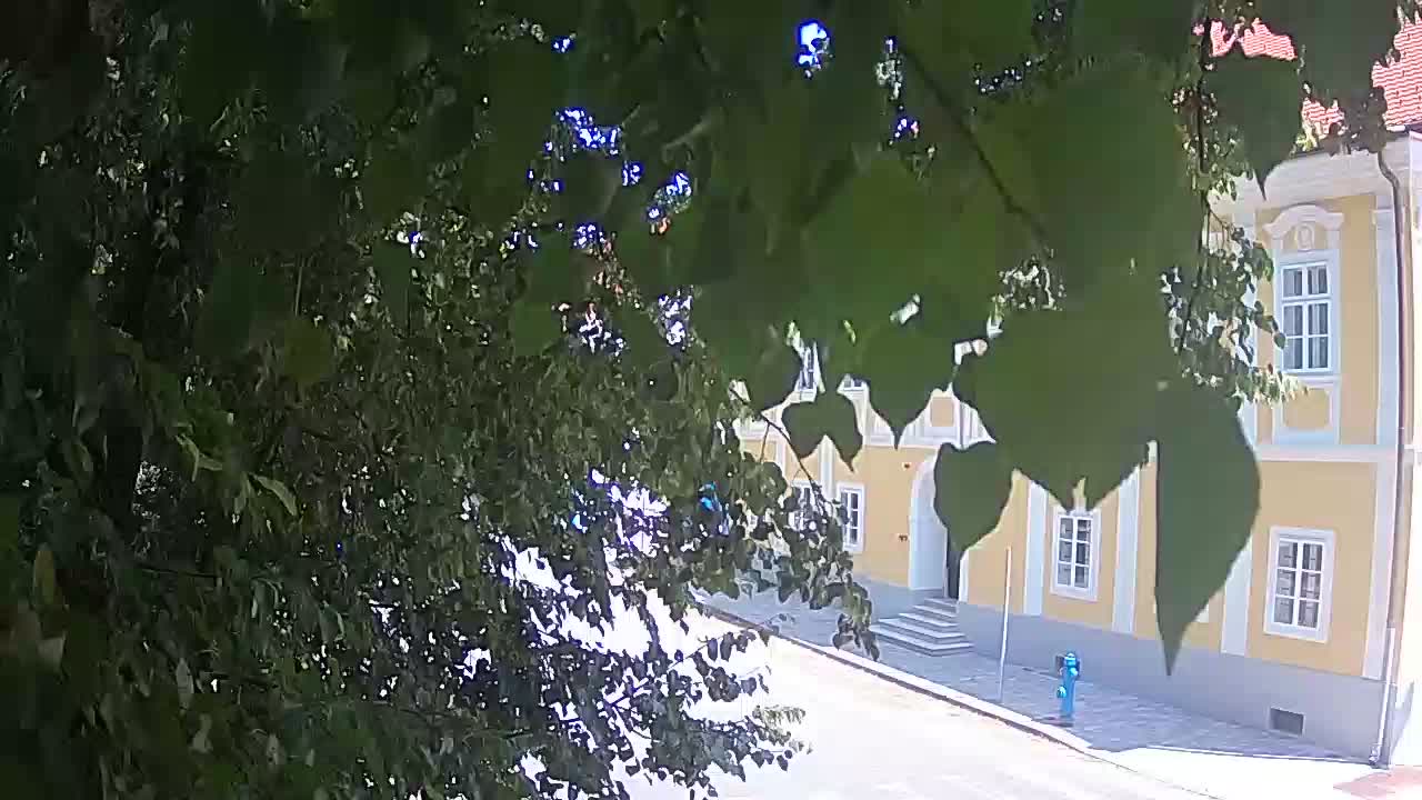 Live webcam Petrinja central park – after the earthquake