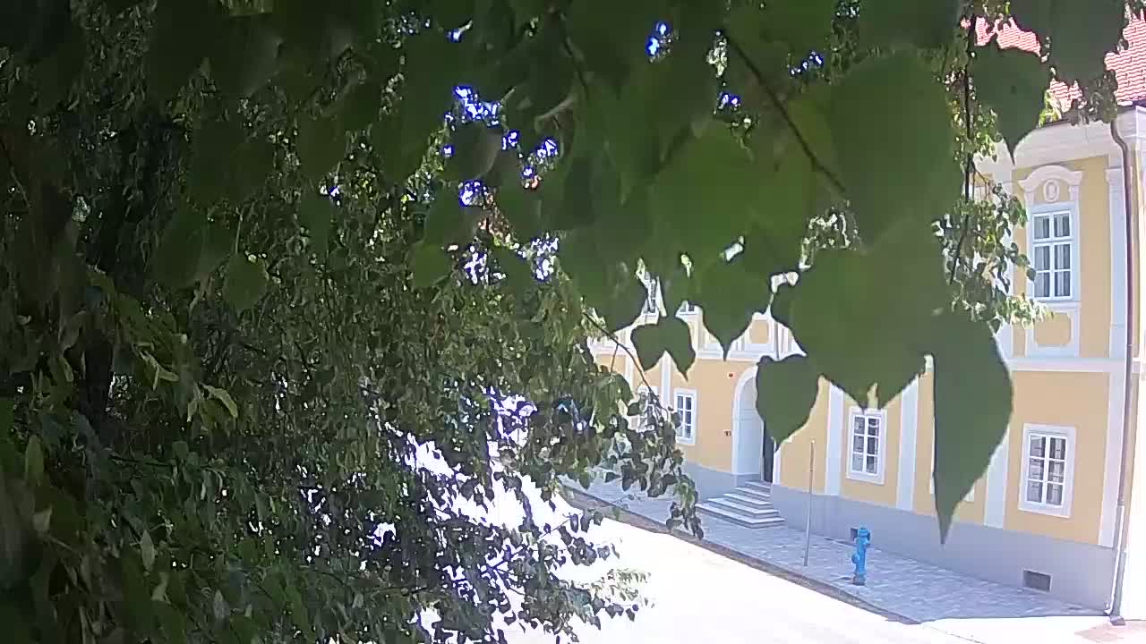 Live webcam parco Petrinja – dopo il terremoto