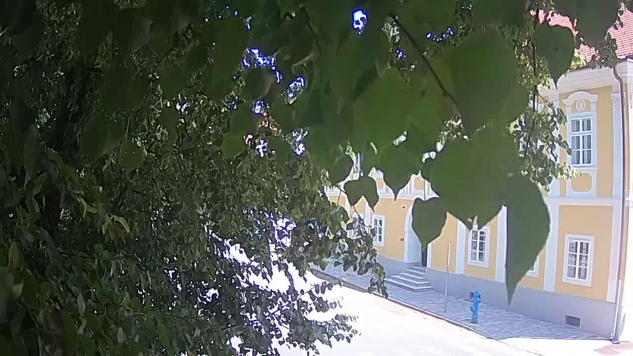 Web kamera uživo Petrinja centralni park – nakon potresa