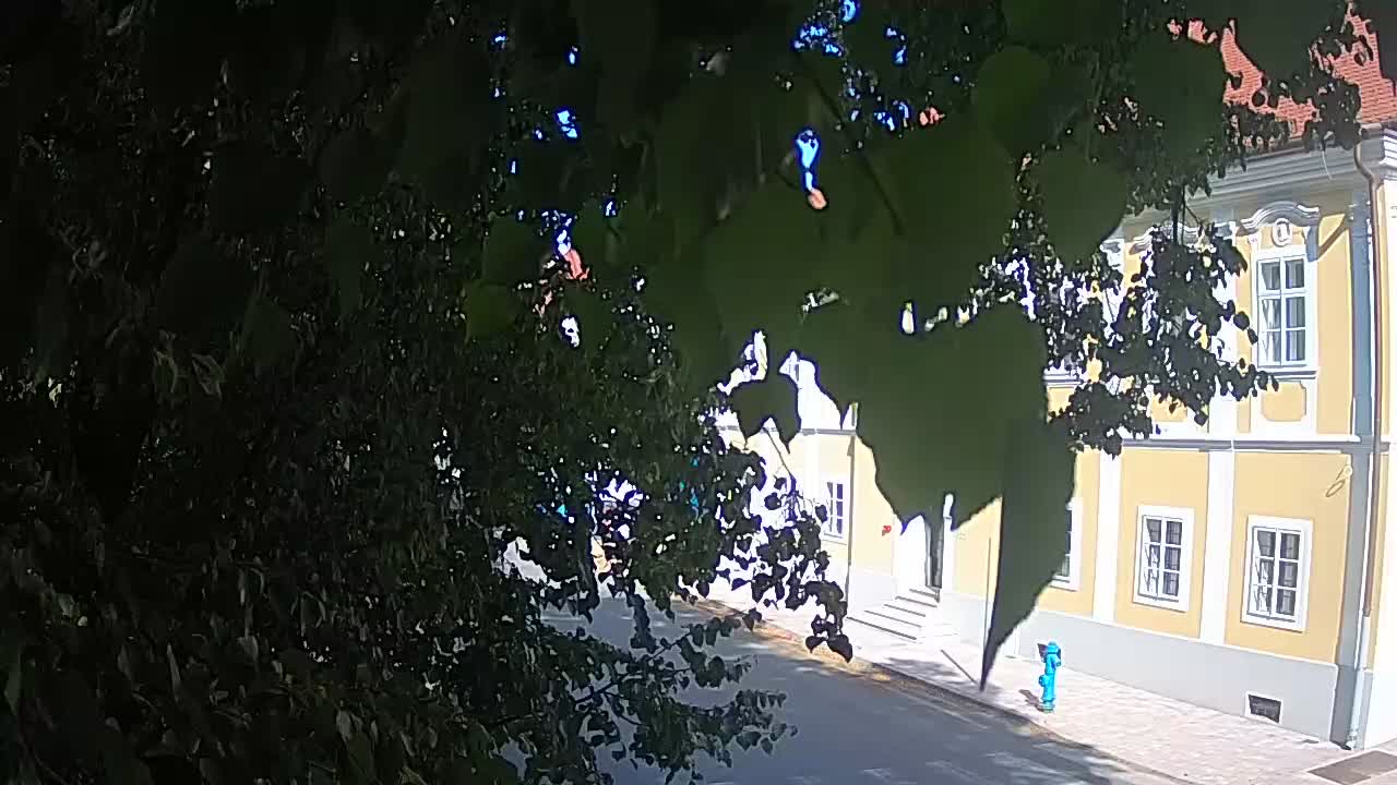 Web kamera uživo Petrinja centralni park – nakon potresa
