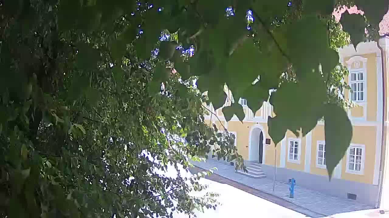 Spletna kamera v živo Petrinja centralni park – po potresu