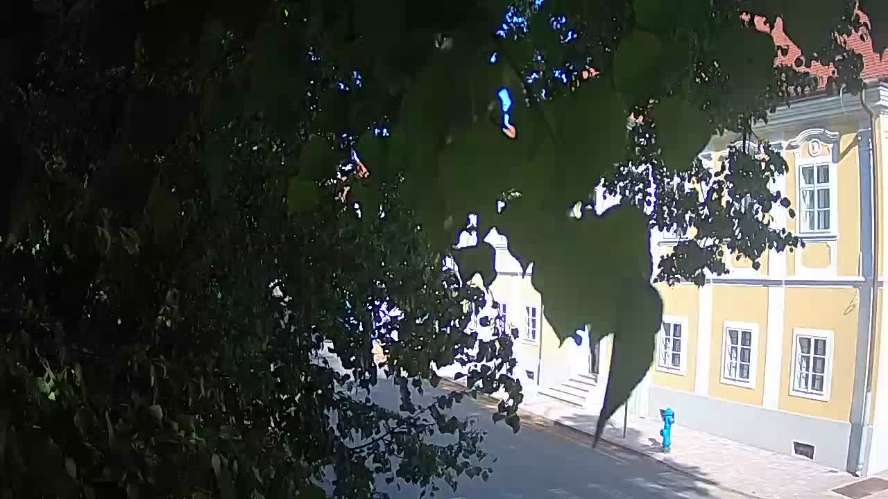 Webcam en vivo parque Petrinja – después del terremoto