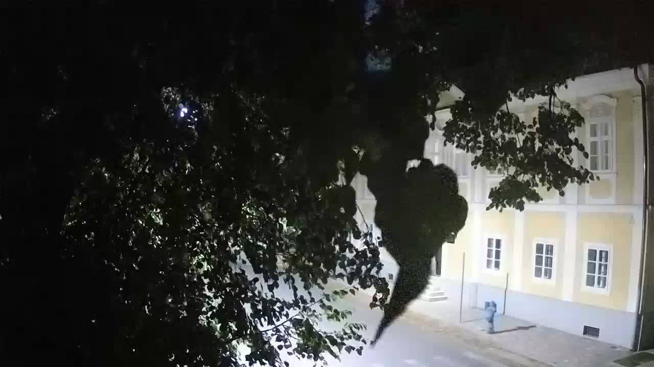 Live webcam Petrinja central park – after the earthquake
