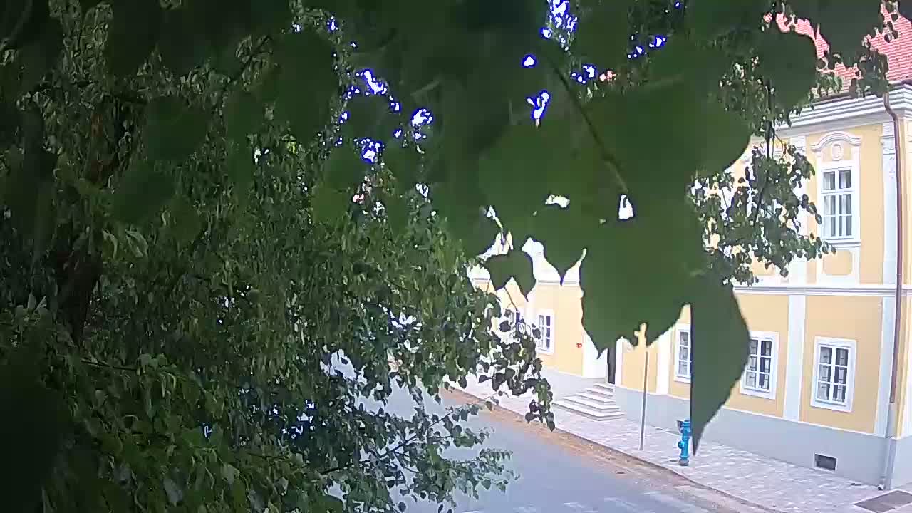 Live webcam parco Petrinja – dopo il terremoto