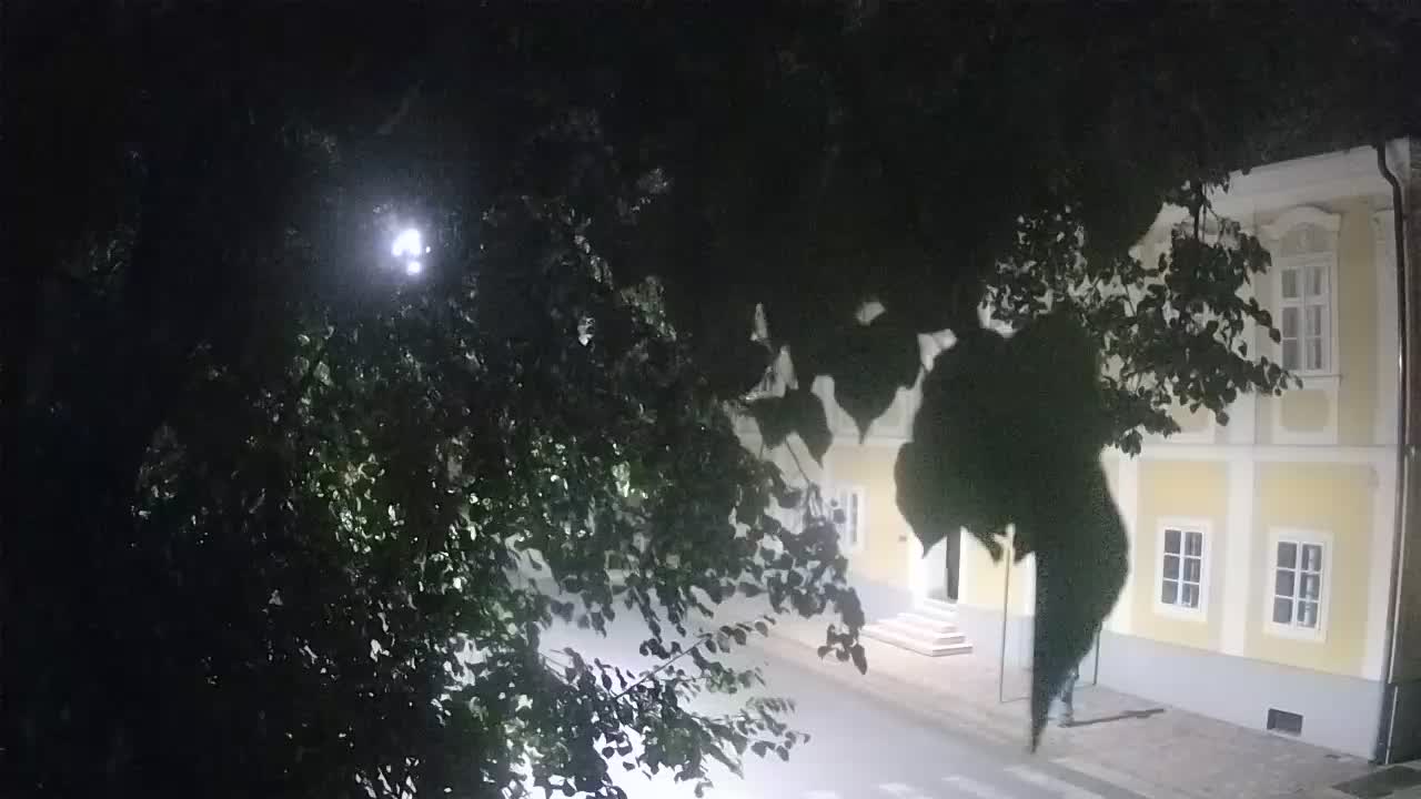 Live webcam Petrinja central park – after the earthquake
