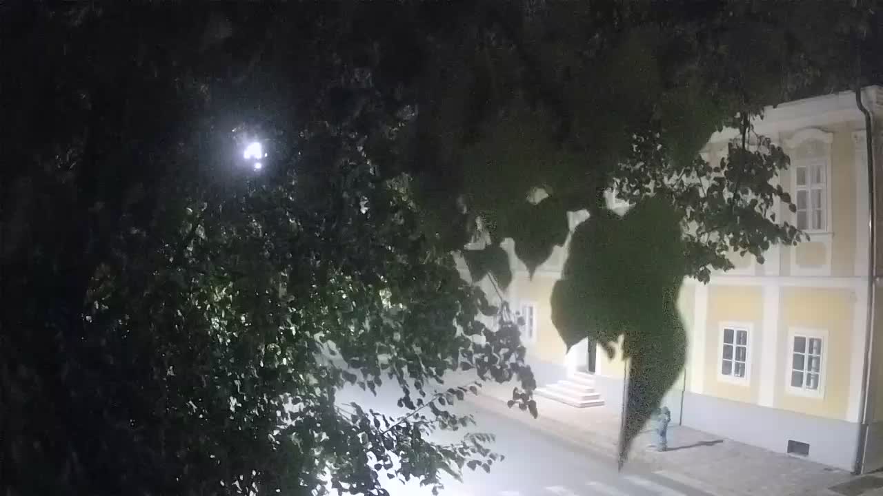 Webcam en vivo parque Petrinja – después del terremoto