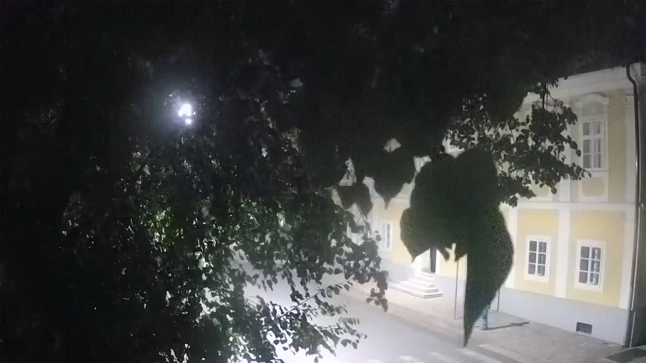 Live webcam parco Petrinja – dopo il terremoto