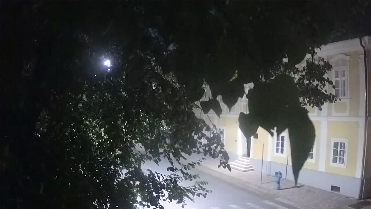 Webcam en vivo parque Petrinja – después del terremoto