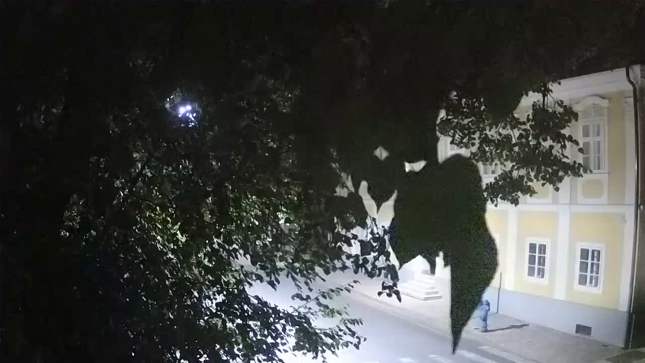 Spletna kamera v živo Petrinja centralni park – po potresu