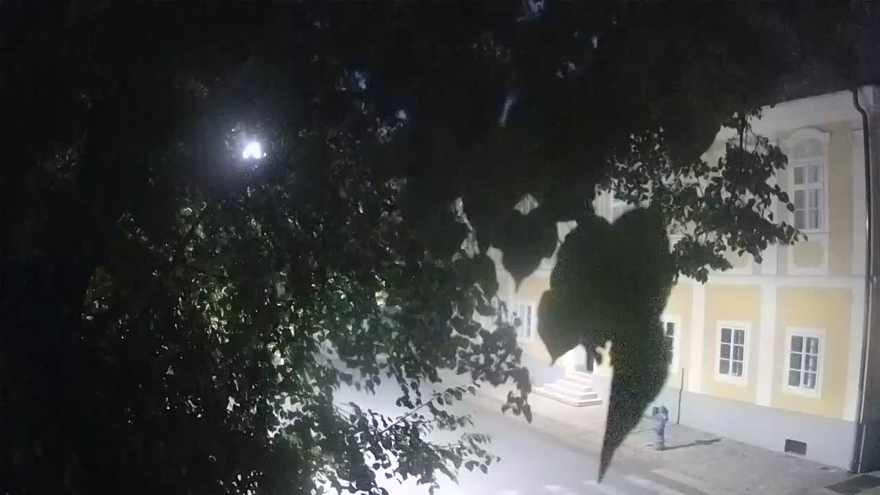Webcam en direct du parc Petrinja – après le tremblement de terre