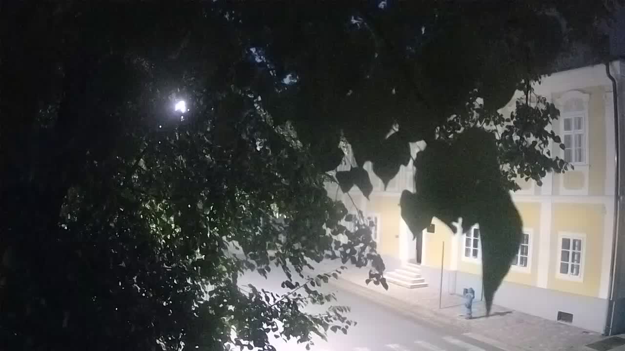 Webcam en vivo parque Petrinja – después del terremoto