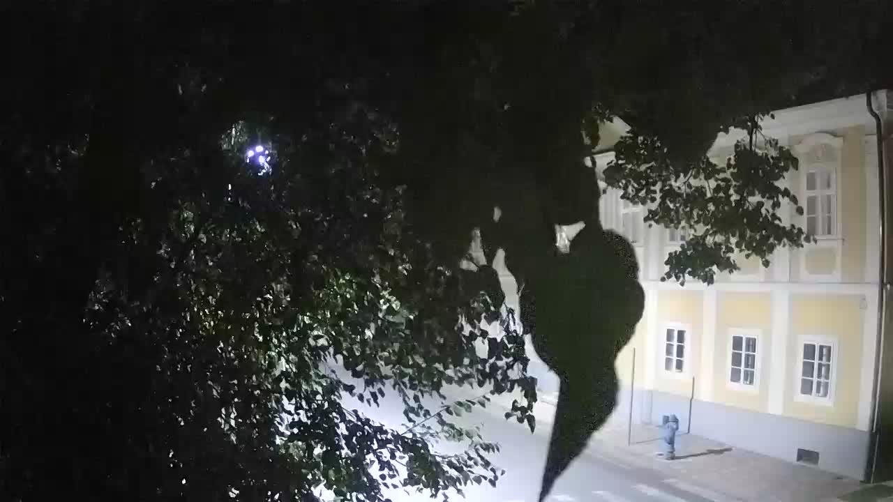 Live webcam parco Petrinja – dopo il terremoto