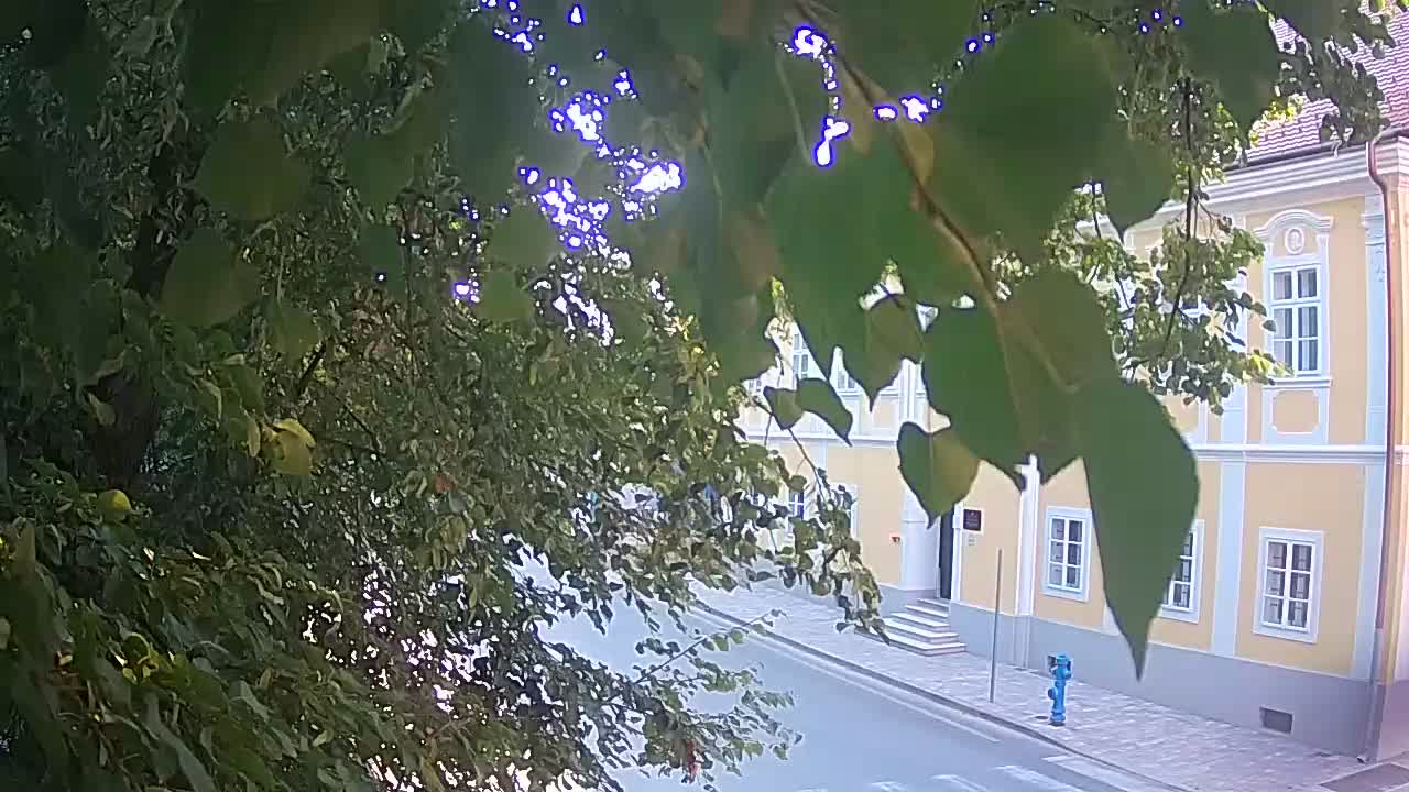 Webcam en vivo parque Petrinja – después del terremoto