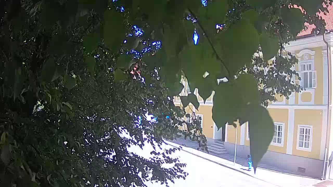 Live webcam Petrinja central park – after the earthquake