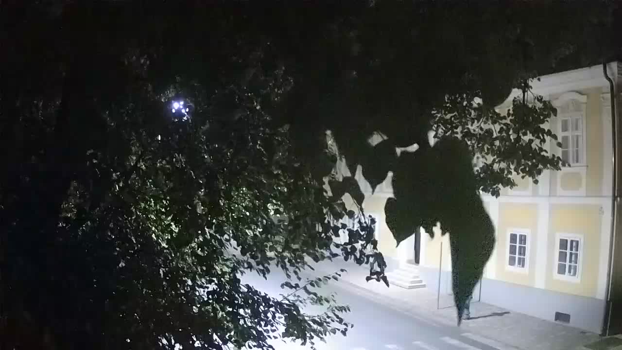 Webcam en direct du parc Petrinja – après le tremblement de terre