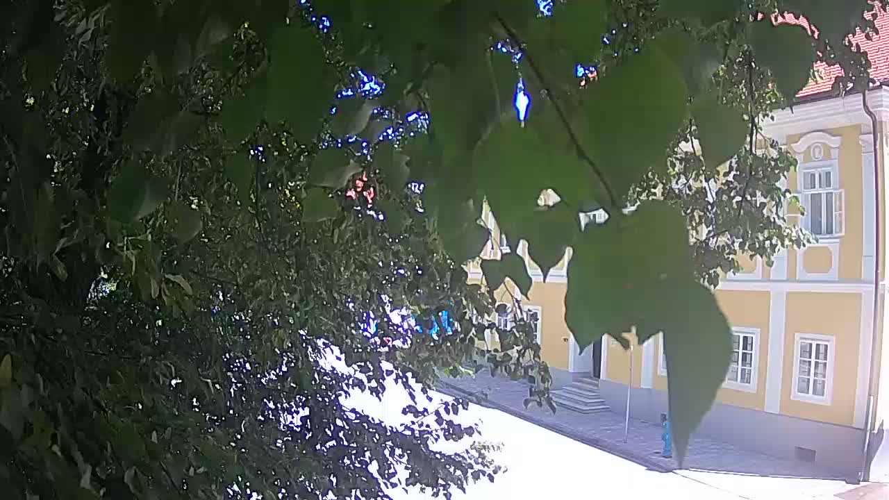 Live Webcam Petrinja Park – nach dem Erdbeben