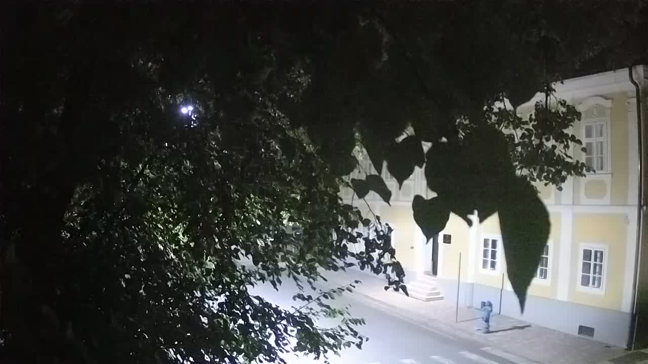 Webcam en vivo parque Petrinja – después del terremoto