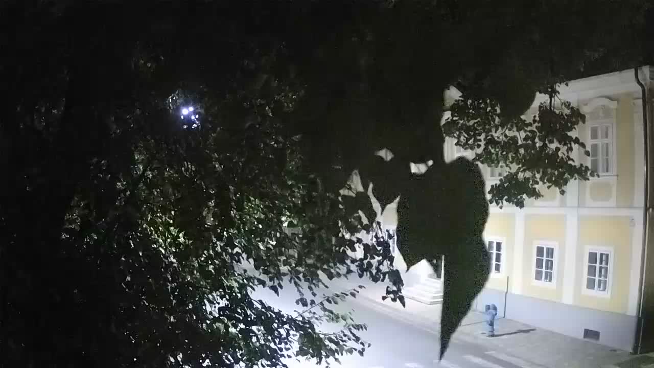 Spletna kamera v živo Petrinja centralni park – po potresu