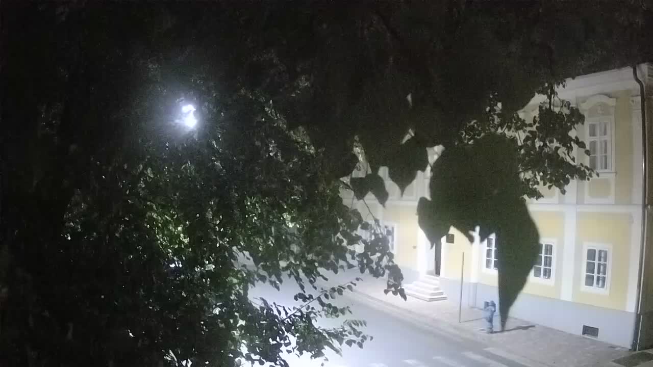 Live webcam Petrinja central park – after the earthquake