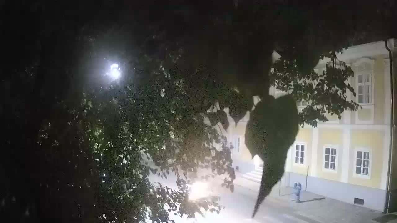 Spletna kamera v živo Petrinja centralni park – po potresu
