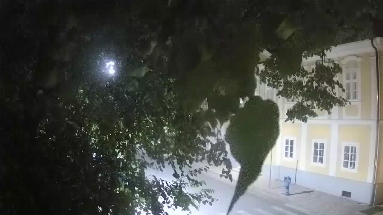 Webcam en direct du parc Petrinja – après le tremblement de terre