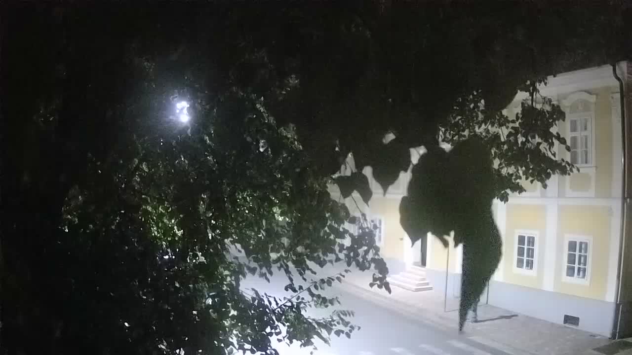 Webcam en direct du parc Petrinja – après le tremblement de terre